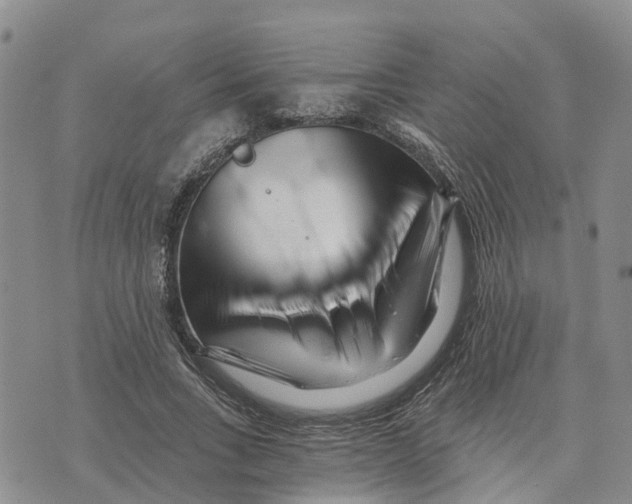 X0000073700735200608311729