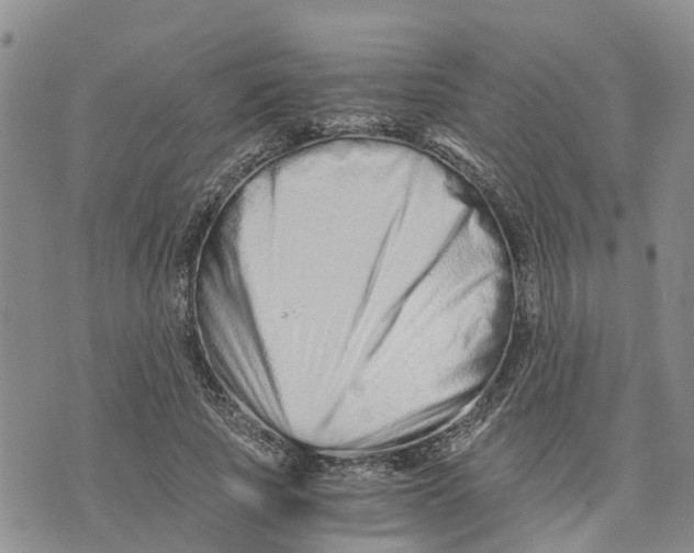 X0000073700737200608311729