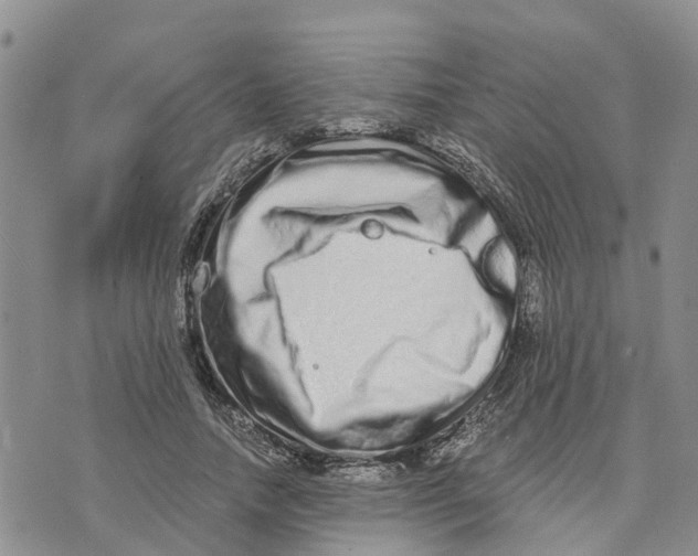 X0000073700738200608311729