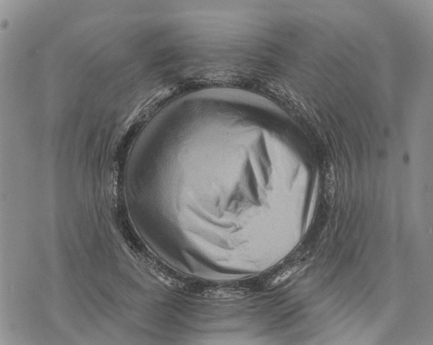 X0000073700739200608311729