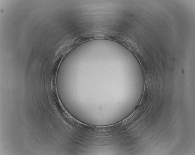 X0000073700740200608311729