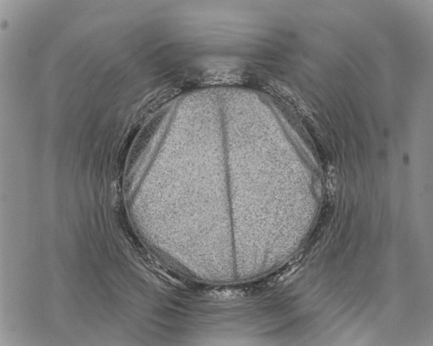 X0000073700741200608311729