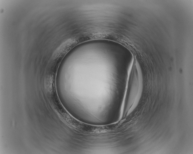 X0000073700742200608311729