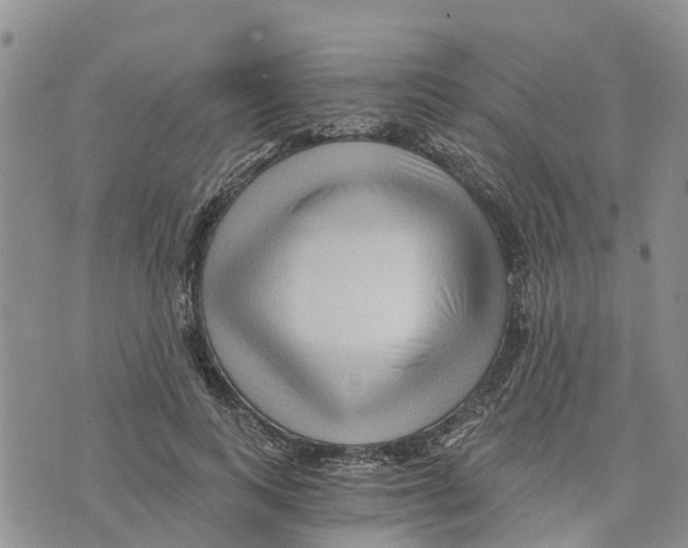 X0000073700743200608311729