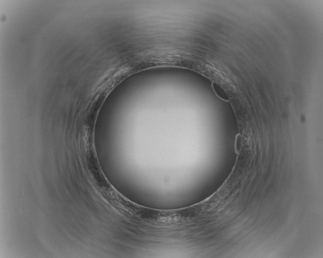 X0000073700744200608311729