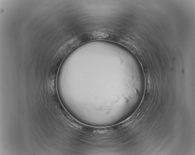 X0000073700745200608311729