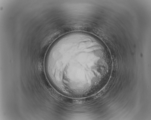 X0000073700746200608311729