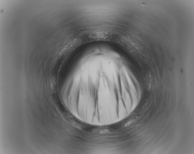 X0000073700747200608311729