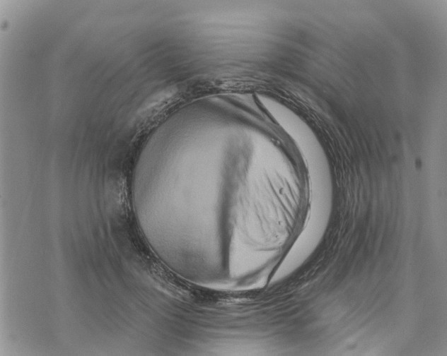 X0000073700748200608311729