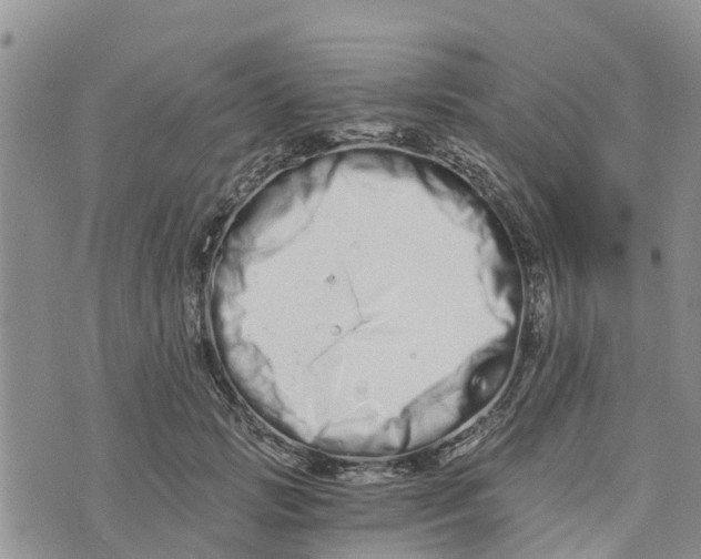 X0000073700749200608311729