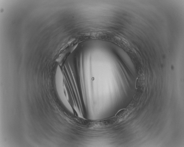 X0000073700750200608311729