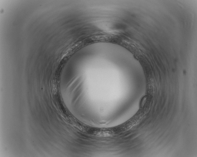 X0000073700751200608311729