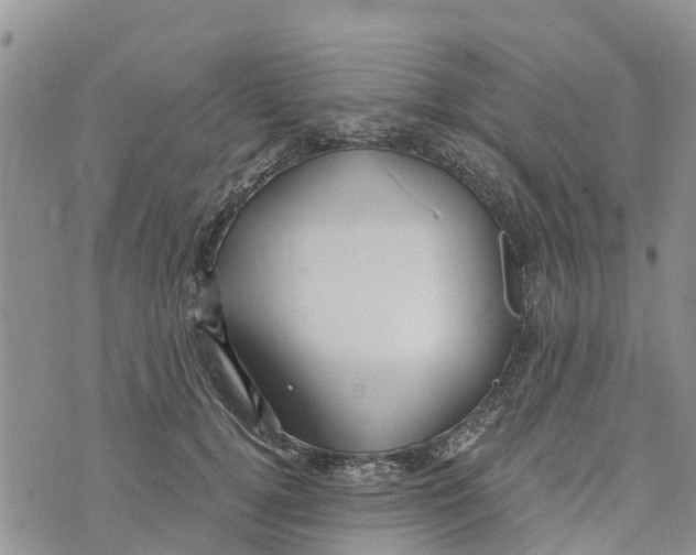 X0000073700752200608311729