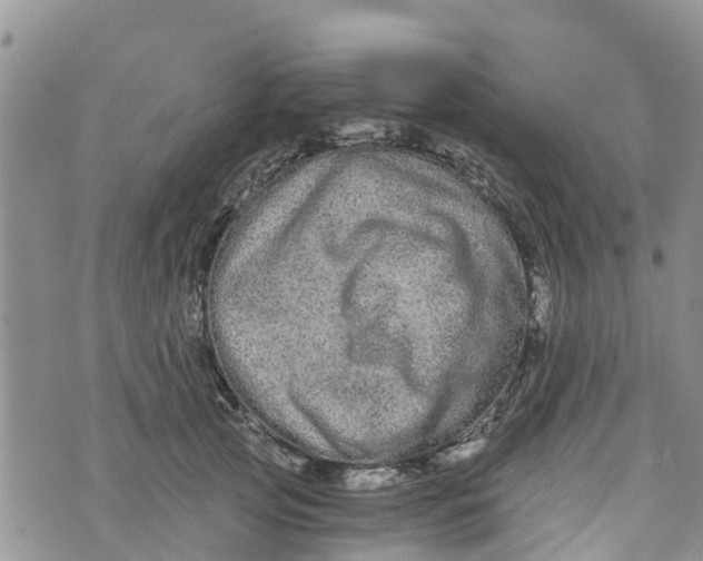 X0000073700753200608311729