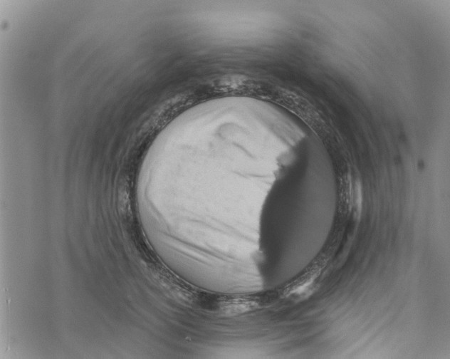 X0000073700754200608311729