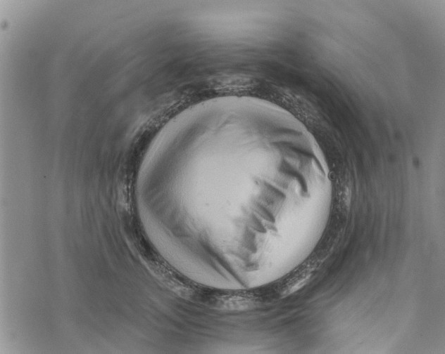 X0000073700755200608311729