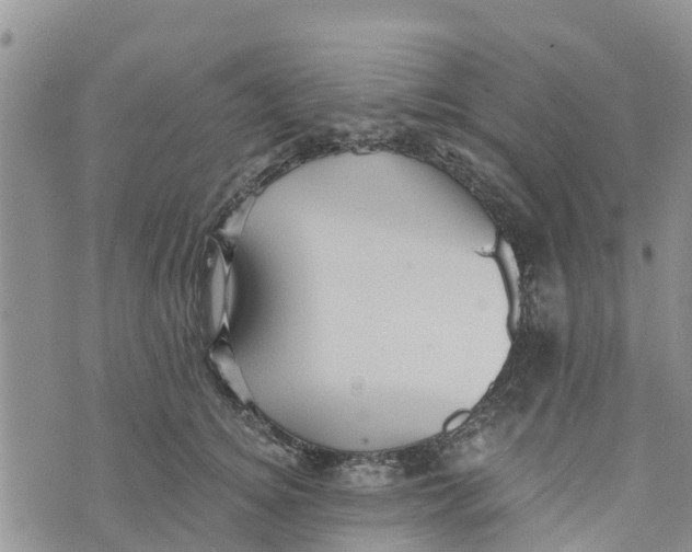 X0000073700756200608311729