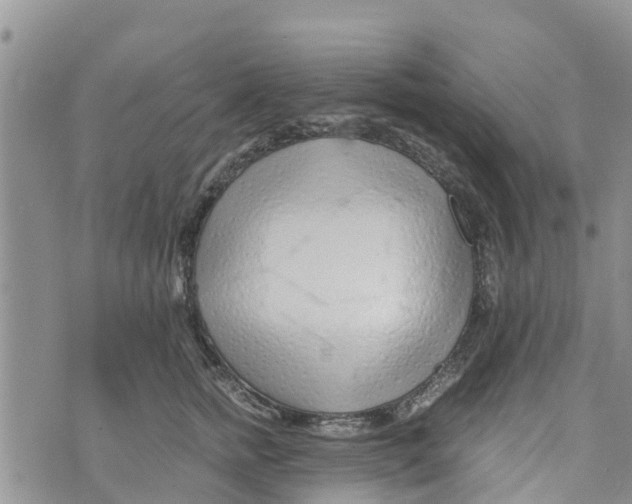 X0000073700758200608311729