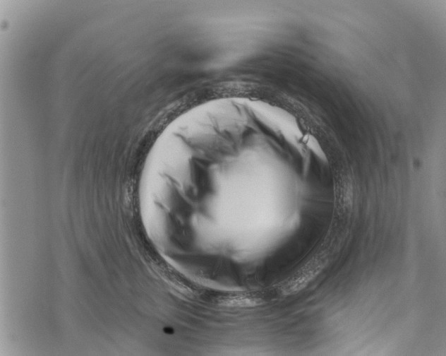 X0000073700759200608311729