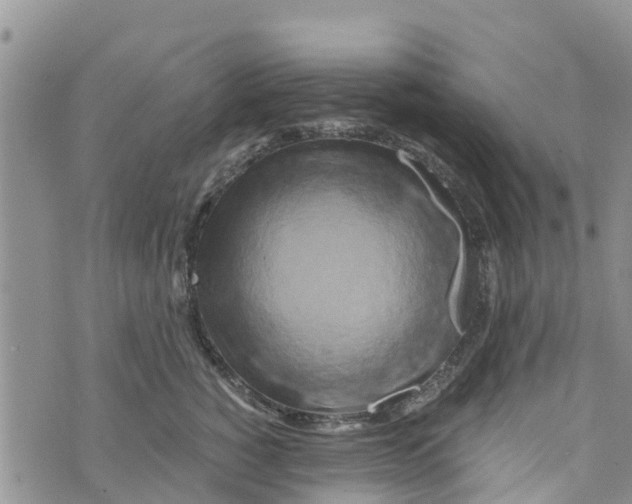 X0000073700760200608311729