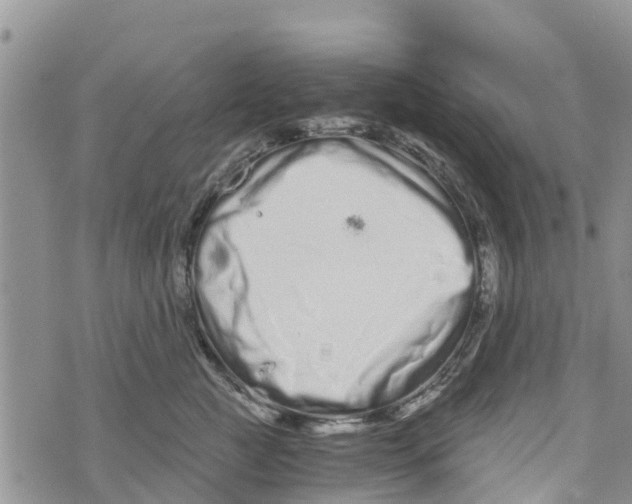 X0000073700761200608311729