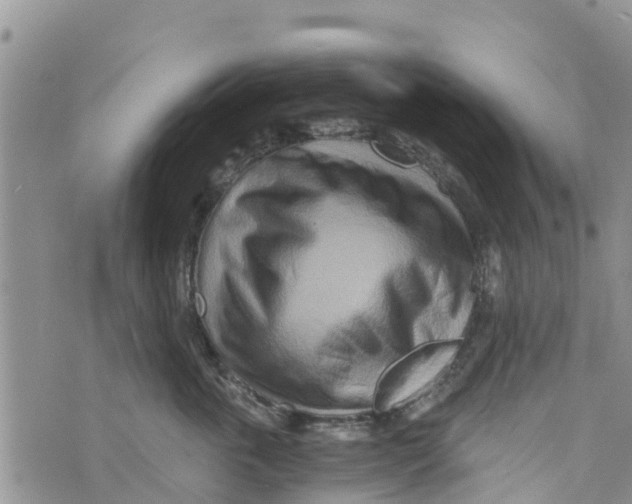 X0000073700763200608311729