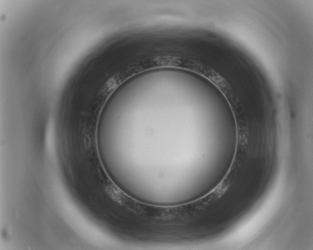 X0000073700765200608311729