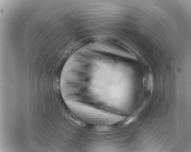 X0000073700766200608311729