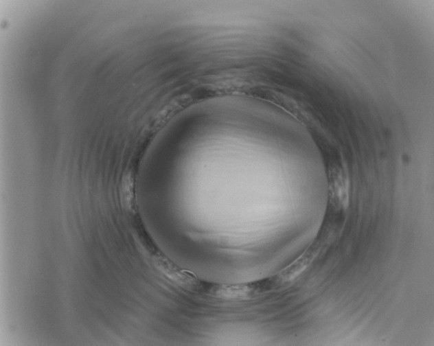 X0000073700767200608311729