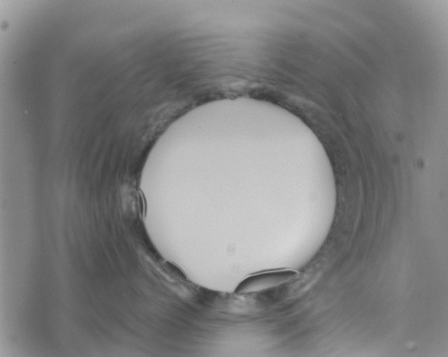 X0000073700768200608311729