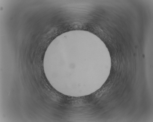 X0000073700769200608311729