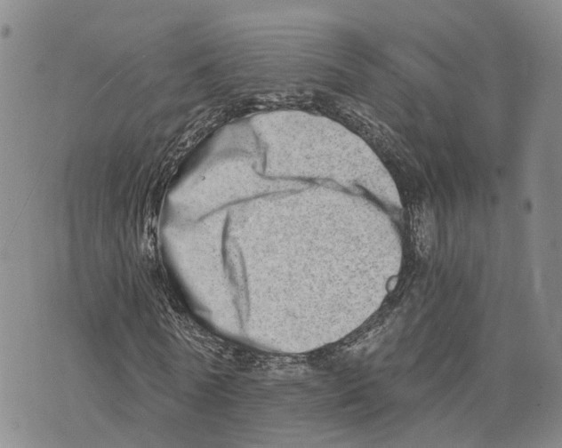 X0000073700770200608311729