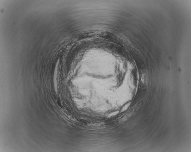 X0000073700771200608311729