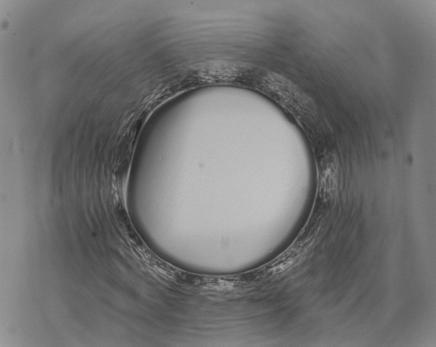 X0000073700772200608311729