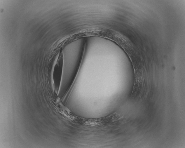 X0000073700773200608311729