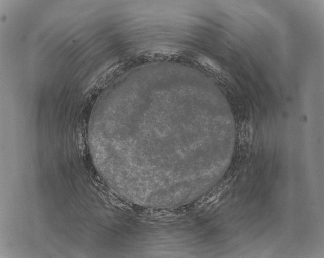 X0000073700774200608311729