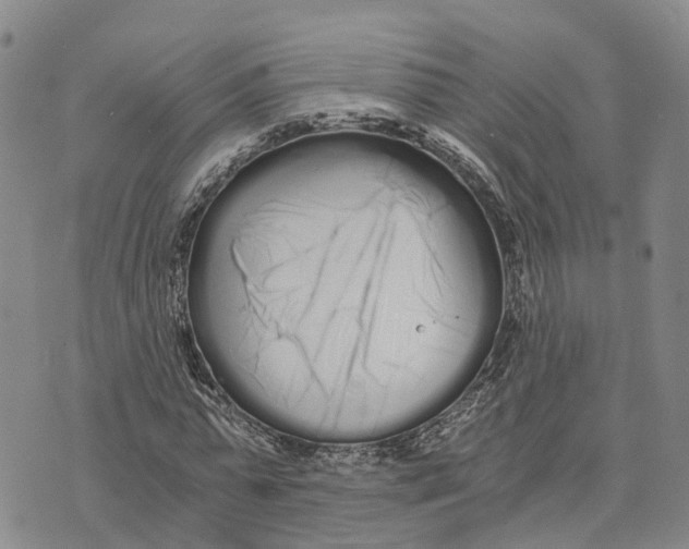 X0000073700775200608311729