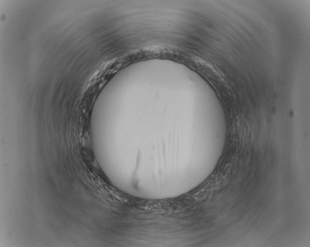 X0000073700776200608311729