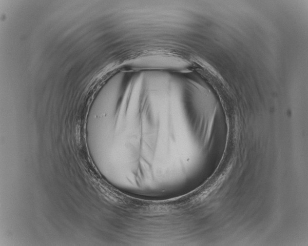 X0000073700777200608311729