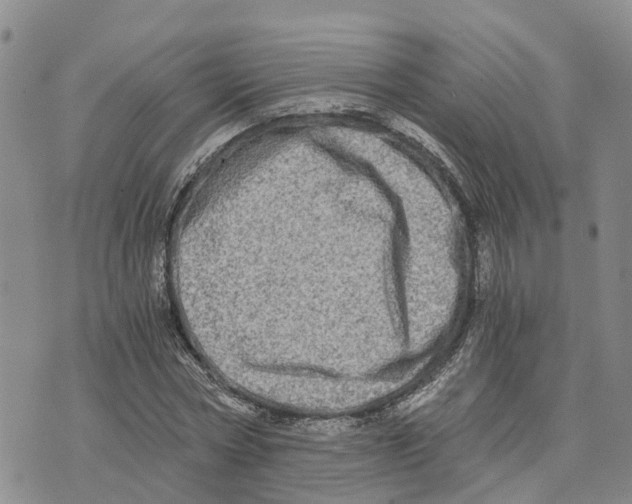 X0000073700778200608311729