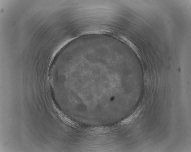 X0000073700779200608311729