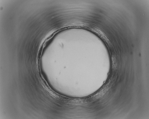 X0000073700780200608311729