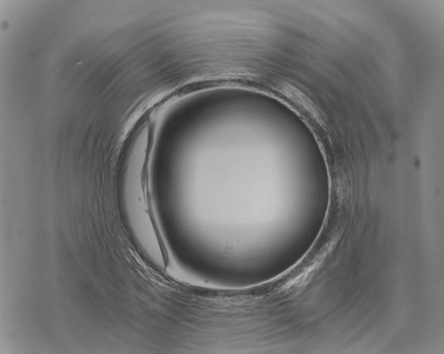 X0000073700781200608311729