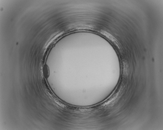 X0000073700782200608311729