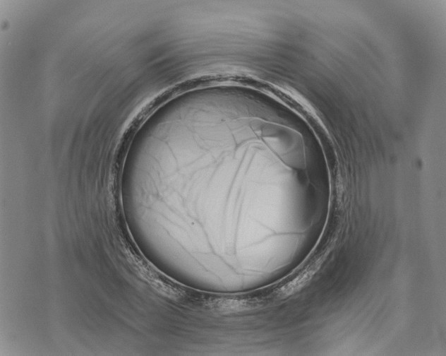 X0000073700783200608311728