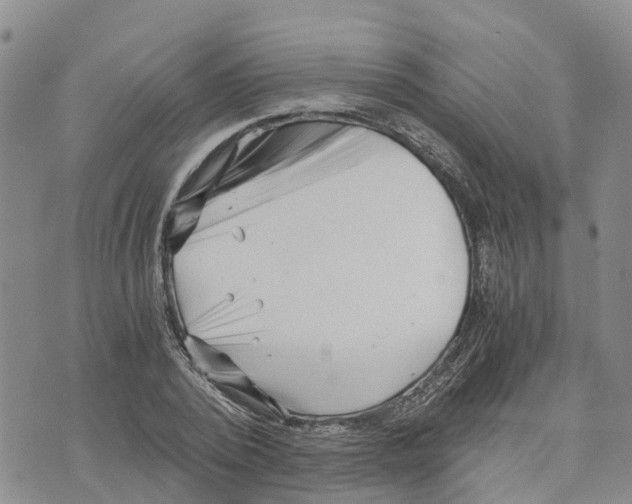 X0000073700784200608311728