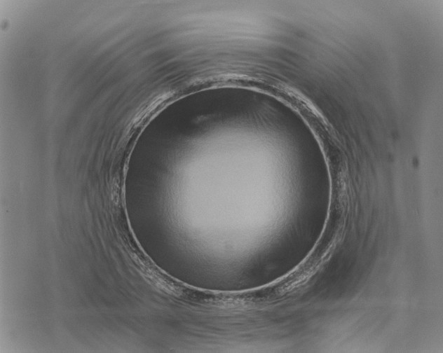 X0000073700785200608311728