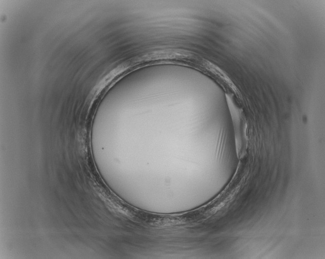 X0000073700786200608311728