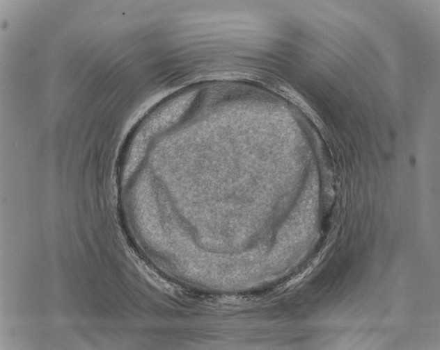 X0000073700787200608311728