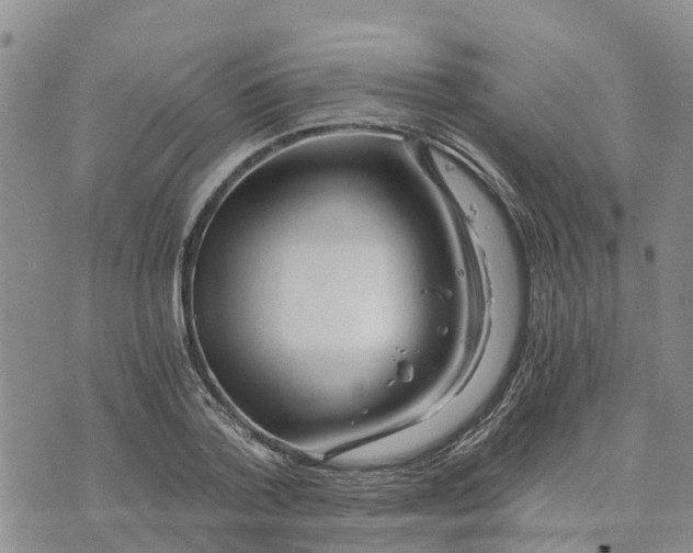 X0000073700788200608311728